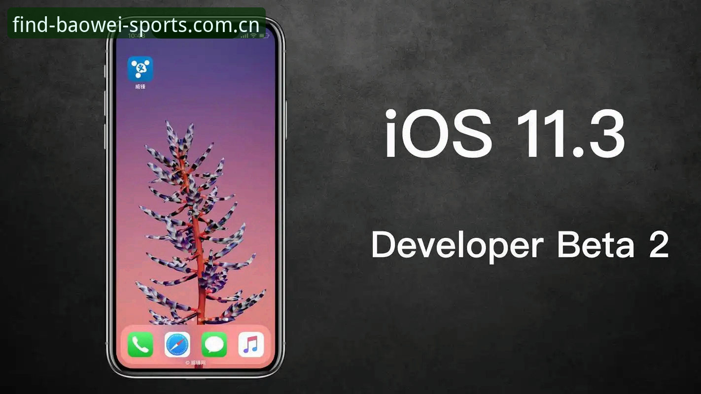 揭秘宝威体育迷路怎么办iOS版：老用户亲测有效的3个找路技巧